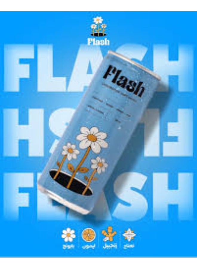 فلاش مشروب غازي 250 مل – بابونج، ليمون، زنجبيل، نعناع | مشروب منعش بنكهـات طبيعية - Image 4